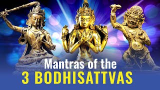 3 Mantras of the Three Great Bodhisattvas Manjushri Avalokiteshvara and Vajrapani in Sanskrit [upl. by Oleta]