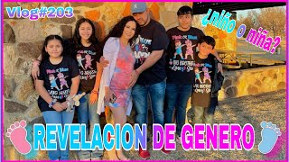 💙💖REVELACIÓN DE GÉNERO DE NUESTR BEBÉ💖💙  GENDER REVEAL 👶 [upl. by Imalda694]