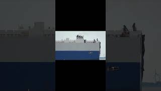 VEHICLES CARRIER quotGLOVIS CLIPPERquot shorts shipspotting ship [upl. by Marciano19]