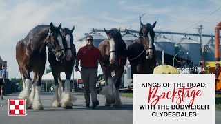 Behind the Scenes with the Budweiser Clydesdales [upl. by Stetson]