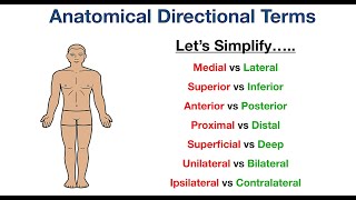 Meaning of Terminologies in Orthopaedics and Anatomy Directional Terms [upl. by Starlene]