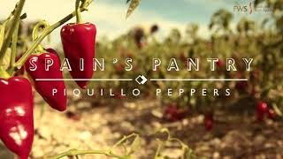 Spain’s Pantry Piquillo Peppers [upl. by Eocsor]