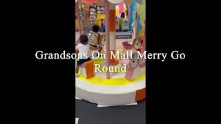 Grandsons on mall merry go round [upl. by Ynes903]