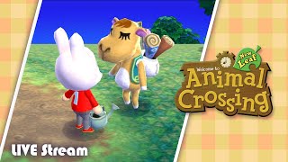 Live Animal Crossing Casual Stream 2 [upl. by Ellennej356]