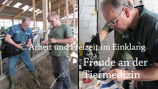 Stellenanzeige für den Großtierbereich Tierärztin  Tierarzt [upl. by Eppesuig]