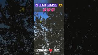 Zakham jo Dil ne khaye beautiful naat 😍😔 shorts viralshorts viralshort [upl. by Annaeoj834]