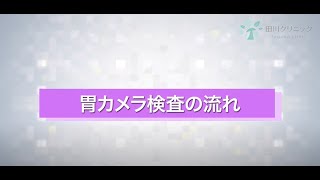 胃カメラ（胃内視鏡）検査のご説明｜横浜市瀬谷区の田川クリニック [upl. by Ahsenot]