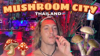 Magic Mushroom City in Thailand [upl. by Ennovahc]