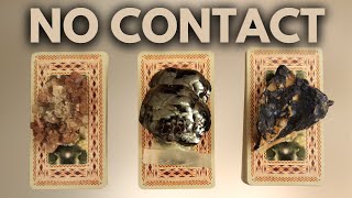 NO CONTACT FEELINGS ACTIONS FUTURE ADVICE PICK A CARD TIMELESS TAROT READING [upl. by Hirst365]