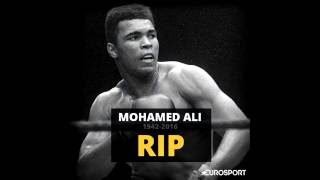 Mohamed Ali  Hommage et plus beaux KO [upl. by Notla]