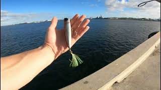 Fishing at Naval station Mayport Florida [upl. by Damle286]