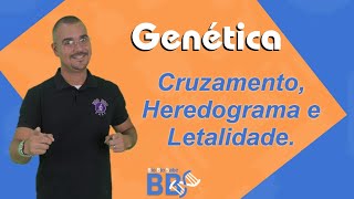 Genética  Cruzamentos Heredograma e Letalidade Bio Bio Sabe [upl. by Keifer445]