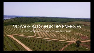 Comment une centrale biomasse transforme résidus végétaux et déchets en électricité  EDF [upl. by Rockel6]