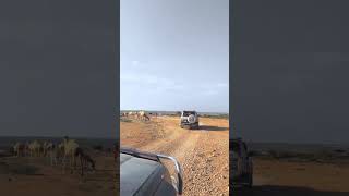 Cajiib weeye Ku safrida Puntland 🇸🇱🚘 [upl. by Atiuqihs542]