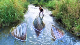 Many clams gather in the beautiful stream as if discussing how to refine better pearls [upl. by Basham]