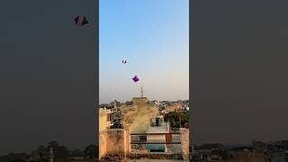 Kite looting from rooftop🪁Big kite catchingCutting kite caught on roof Flying big kite shorts [upl. by Erbua]