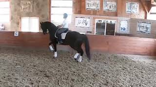 Vincent Flores Dressage [upl. by Joli]