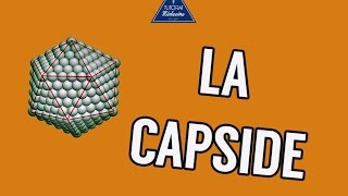 02  La Capside [upl. by Arikihs586]