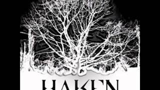 Haken  Manifolds [upl. by Idnac]