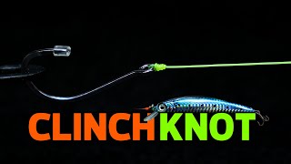 The Most Popular Fishing Knot You Should Know  Audio Explained [upl. by Eelydnarb]