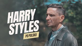 Harry Styles  Sign of the Times PO POLSKU  Janusz Radek cover [upl. by Esined992]