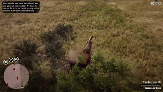 RDR2 TIPS TRICKS  NeW AuStin LegendarY AniMaL HuNting 1 [upl. by Meijer]