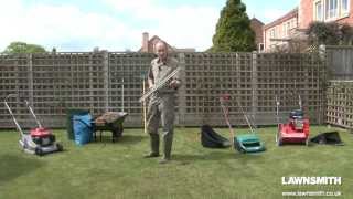 How to Rake and Scarify a Lawn for Moss and Thatch [upl. by Elenaj]