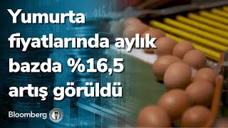 🥚Yumurta fiyatlarında aylık bazda \u00165 artış görüldü [upl. by Noreht]