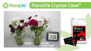 Floralife Crystal Clear® also known as Flower Food Clear 300 [upl. by Swane]