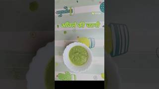 आँवले की बेहतरीन चटनीAmla ki chutneyपौष्टिक चटनीWinter specialviralShort [upl. by Tansey]