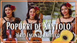 Trío Encanto Amateco  Popurrí de Xantolo [upl. by Yelrac]