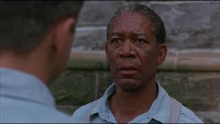 Get Busy Living or Get Busy Dying  The Shawshank Redemption 1994  Movie Clip HD Scene [upl. by Kassel]