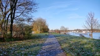 Hamburg Finkenwerder Elbufer GorchFockPark Schiffe  Full HD VideobildFilm [upl. by Anasus]