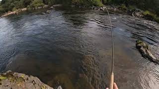 Trout amp Grayling fishing Scotland [upl. by Claudia]