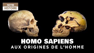 A la recherche de nos origines  Homo Sapiens ancêtre de lHomme  Documentaire Archéologie  CTB [upl. by Hras]