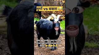 Murga vs bakhri 😂😅shortvideo funny funnycomedyvideo funnyshorts [upl. by Fiertz]