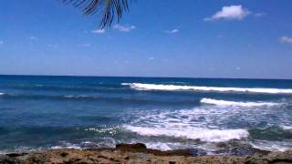 Playa Wilderness Aguadilla Puerto Rico [upl. by Gizela]