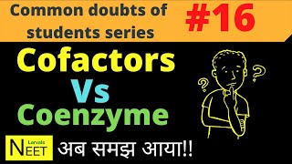 Cofactors Vs coenzyme  coenzyme and cofactors  Coenzyme in Hindi  enzymes class 11 Biology [upl. by Setsero847]