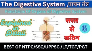 Lec 6 Digestive System। pachan tantra। पाचन तंत्र। Digestive System In Hindi। Anatomy amp Physiology। [upl. by Eloc]