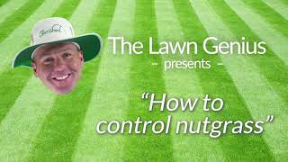 How to Control Nutgrass [upl. by Stortz]