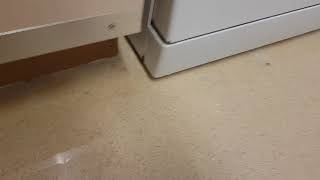 Beko  Dishwasher leaking all around [upl. by Rodrique]