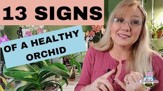 13 Signs of a Healthy Orchid Buying New Orchids or Evaluating Your Own Care [upl. by Bully781]