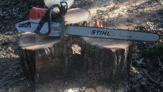 STIHL 462c 32 inch bar [upl. by Namyh]