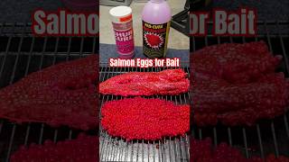 Salmon Egg Curing for Bait fishing [upl. by Yesnil110]