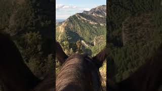 Trail Riding in Spain on an Andalusian Horse… Yes Please [upl. by Suisyola]