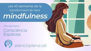 Les 40 setmanes de la transformació de Hara  Setmana 27 Consciència espaiosa mindfulness català [upl. by Gnohc]