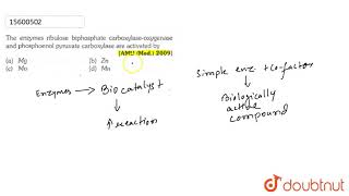 The enzymes ribulose biphosphate carboxylaseoxygenase and phosphoenol pyruvate carboxylase [upl. by Astrid111]