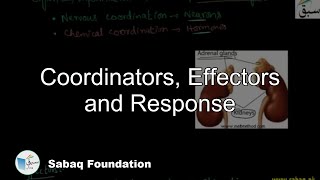 Coordinators Effectors and Response Biology Lecture  Sabaqpk [upl. by Root]