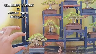 SMALLEST BONSAI IN THE WORLD Bonsai Exhibition  Philippines 2023 ASPAC ABFF  Mindanao Leg [upl. by Greeson]