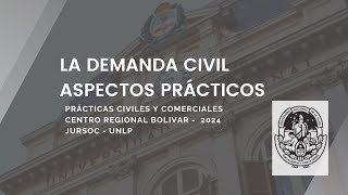 Aspectos prácticos de la demanda civil [upl. by Genesa761]